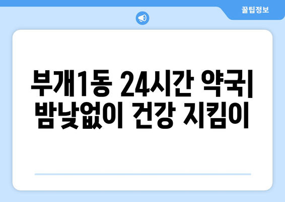 인천시 부평구 부개1동 24시간 토요일 일요일 휴일 공휴일 야간 약국