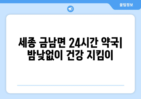 세종시 세종특별자치시 금남면 24시간 토요일 일요일 휴일 공휴일 야간 약국