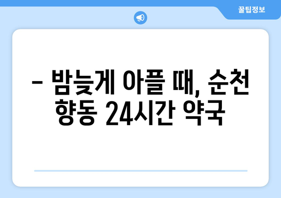 전라남도 순천시 향동 24시간 토요일 일요일 휴일 공휴일 야간 약국