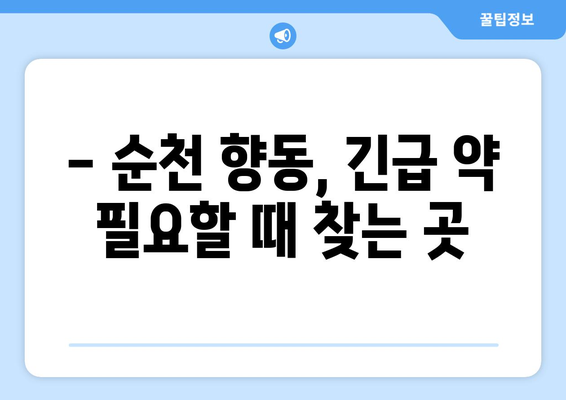 전라남도 순천시 향동 24시간 토요일 일요일 휴일 공휴일 야간 약국