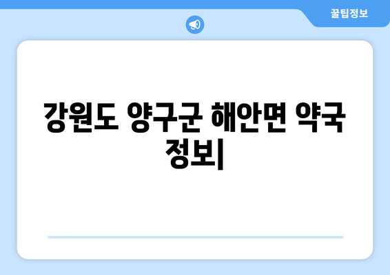 강원도 양구군 해안면 24시간 토요일 일요일 휴일 공휴일 야간 약국