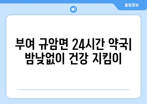 충청남도 부여군 규암면 24시간 토요일 일요일 휴일 공휴일 야간 약국