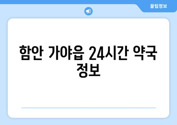 경상남도 함안군 가야읍 24시간 토요일 일요일 휴일 공휴일 야간 약국