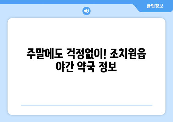 세종시 세종특별자치시 조치원읍 24시간 토요일 일요일 휴일 공휴일 야간 약국