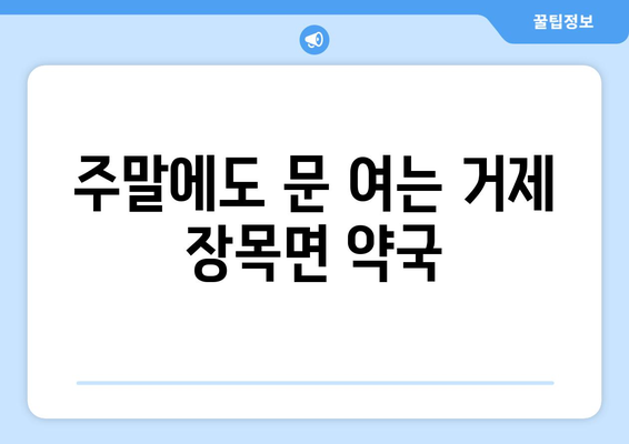 경상남도 거제시 장목면 24시간 토요일 일요일 휴일 공휴일 야간 약국