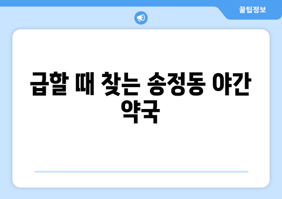 강원도 강릉시 송정동 24시간 토요일 일요일 휴일 공휴일 야간 약국