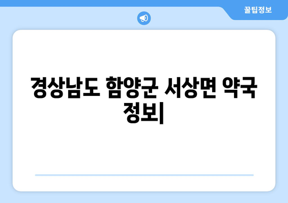 경상남도 함양군 서상면 24시간 토요일 일요일 휴일 공휴일 야간 약국