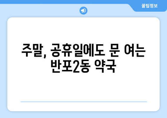 서울시 서초구 반포2동 24시간 토요일 일요일 휴일 공휴일 야간 약국