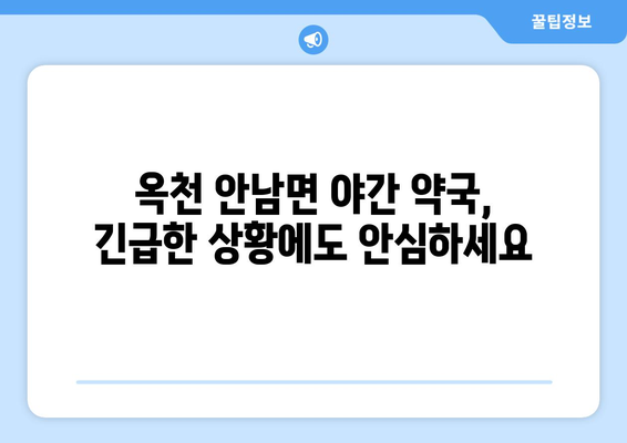 충청북도 옥천군 안남면 24시간 토요일 일요일 휴일 공휴일 야간 약국