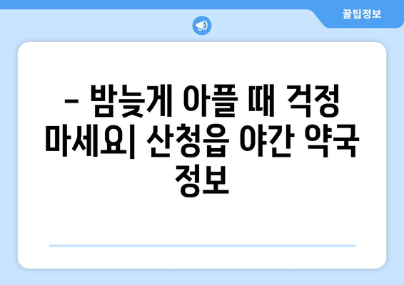 경상남도 산청군 산청읍 24시간 토요일 일요일 휴일 공휴일 야간 약국