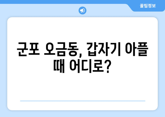 경기도 군포시 오금동 일요일 휴일 공휴일 야간 진료병원 리스트