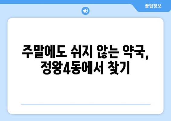 경기도 시흥시 정왕4동 24시간 토요일 일요일 휴일 공휴일 야간 약국