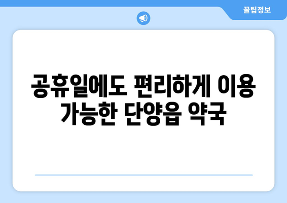 충청북도 단양군 단양읍 24시간 토요일 일요일 휴일 공휴일 야간 약국