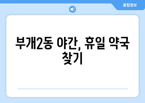 인천시 부평구 부개2동 24시간 토요일 일요일 휴일 공휴일 야간 약국