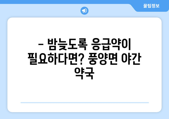 전라남도 고흥군 풍양면 24시간 토요일 일요일 휴일 공휴일 야간 약국