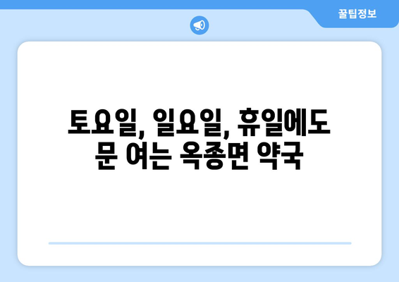 경상남도 하동군 옥종면 24시간 토요일 일요일 휴일 공휴일 야간 약국