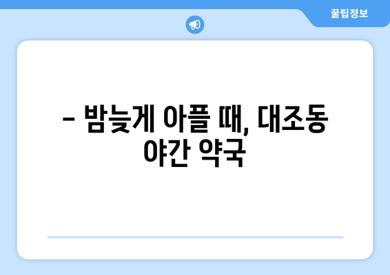 서울시 은평구 대조동 24시간 토요일 일요일 휴일 공휴일 야간 약국