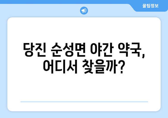 충청남도 당진시 순성면 24시간 토요일 일요일 휴일 공휴일 야간 약국