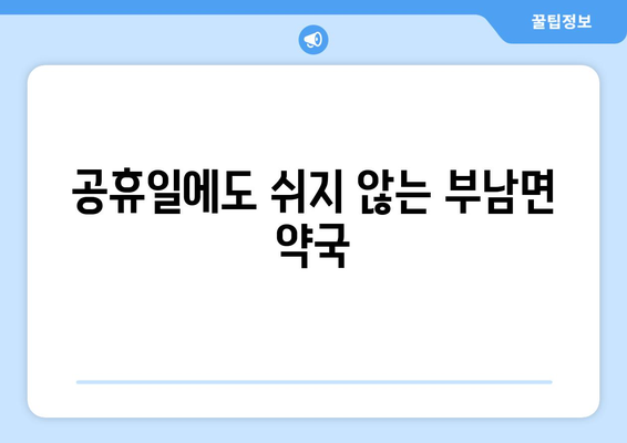 전라북도 무주군 부남면 24시간 토요일 일요일 휴일 공휴일 야간 약국