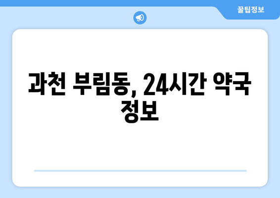 경기도 과천시 부림동 24시간 토요일 일요일 휴일 공휴일 야간 약국