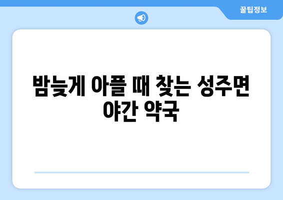 충청남도 보령시 성주면 24시간 토요일 일요일 휴일 공휴일 야간 약국