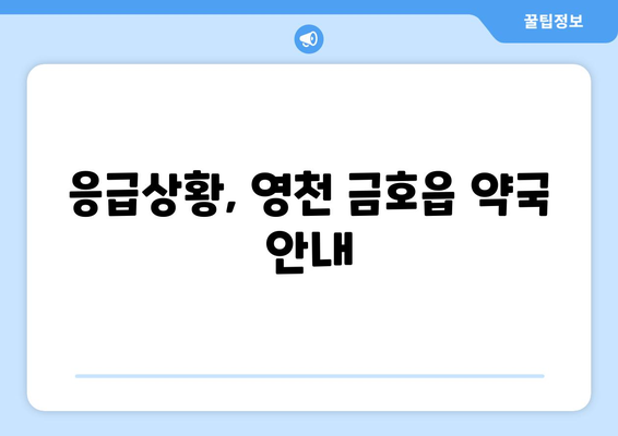 경상북도 영천시 금호읍 24시간 토요일 일요일 휴일 공휴일 야간 약국