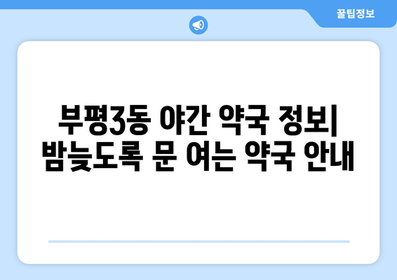 인천시 부평구 부평3동 24시간 토요일 일요일 휴일 공휴일 야간 약국