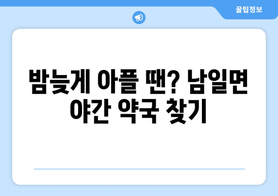 충청남도 금산군 남일면 24시간 토요일 일요일 휴일 공휴일 야간 약국