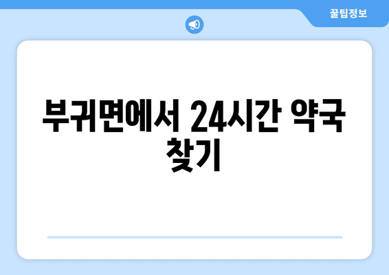 전라북도 진안군 부귀면 24시간 토요일 일요일 휴일 공휴일 야간 약국