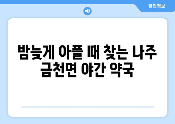 전라남도 나주시 금천면 24시간 토요일 일요일 휴일 공휴일 야간 약국