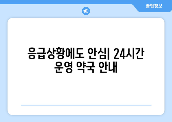 경기도 화성시 동탄2동 24시간 토요일 일요일 휴일 공휴일 야간 약국