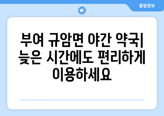 충청남도 부여군 규암면 24시간 토요일 일요일 휴일 공휴일 야간 약국