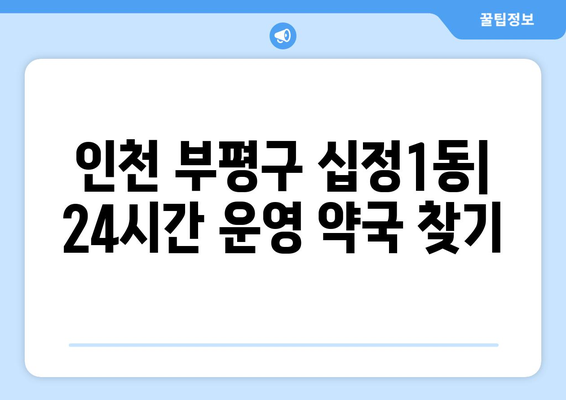 인천시 부평구 십정1동 24시간 토요일 일요일 휴일 공휴일 야간 약국