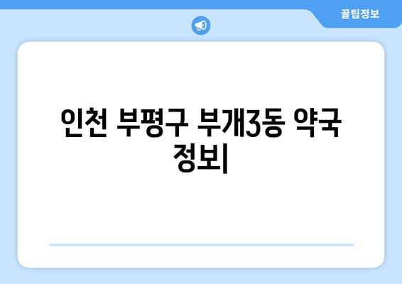 인천시 부평구 부개3동 24시간 토요일 일요일 휴일 공휴일 야간 약국