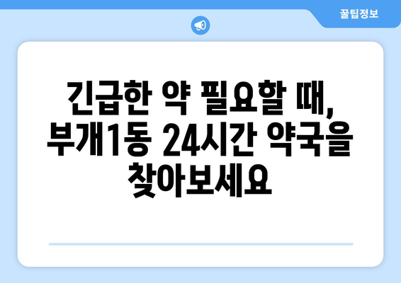 인천시 부평구 부개1동 24시간 토요일 일요일 휴일 공휴일 야간 약국