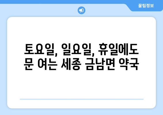 세종시 세종특별자치시 금남면 24시간 토요일 일요일 휴일 공휴일 야간 약국