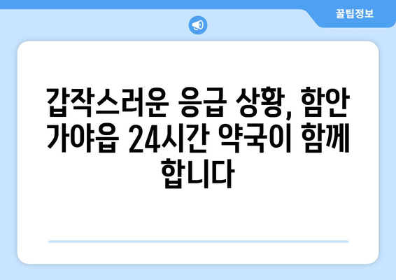 경상남도 함안군 가야읍 24시간 토요일 일요일 휴일 공휴일 야간 약국