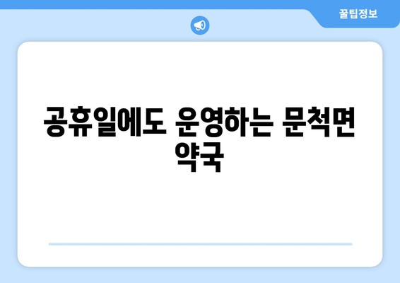 전라남도 구례군 문척면 24시간 토요일 일요일 휴일 공휴일 야간 약국