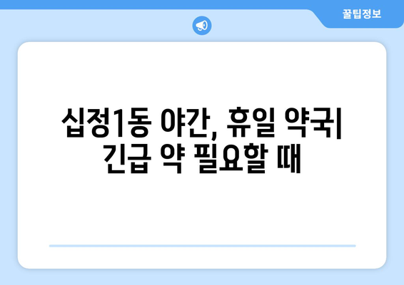 인천시 부평구 십정1동 24시간 토요일 일요일 휴일 공휴일 야간 약국