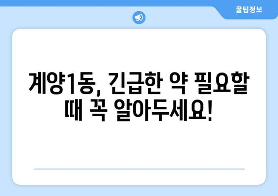 인천시 계양구 계양1동 24시간 토요일 일요일 휴일 공휴일 야간 약국