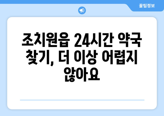 세종시 세종특별자치시 조치원읍 24시간 토요일 일요일 휴일 공휴일 야간 약국