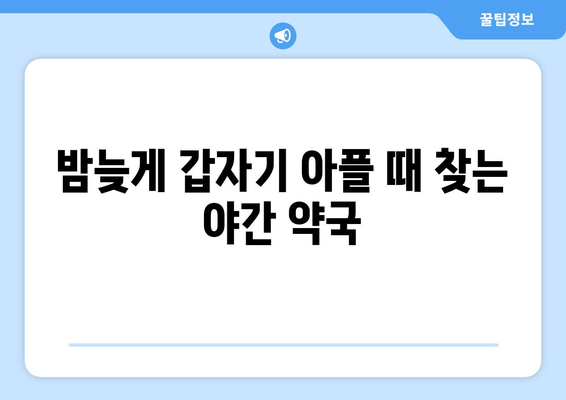 경상남도 합천군 대양면 24시간 토요일 일요일 휴일 공휴일 야간 약국