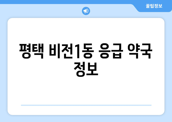 경기도 평택시 비전1동 24시간 토요일 일요일 휴일 공휴일 야간 약국