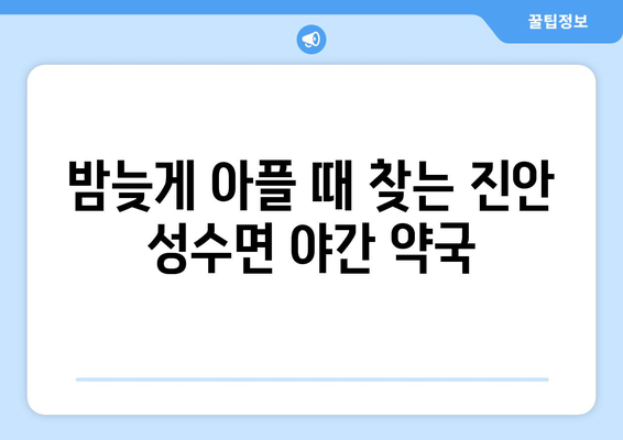 전라북도 진안군 성수면 24시간 토요일 일요일 휴일 공휴일 야간 약국