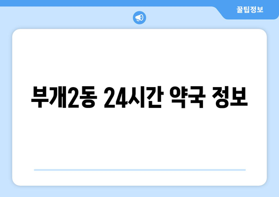 인천시 부평구 부개2동 24시간 토요일 일요일 휴일 공휴일 야간 약국