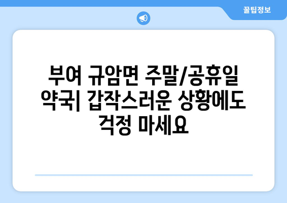 충청남도 부여군 규암면 24시간 토요일 일요일 휴일 공휴일 야간 약국