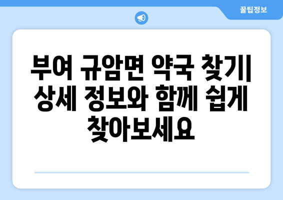 충청남도 부여군 규암면 24시간 토요일 일요일 휴일 공휴일 야간 약국