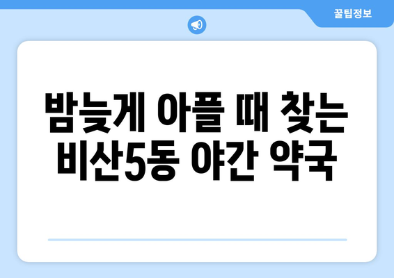 대구시 서구 비산5동 24시간 토요일 일요일 휴일 공휴일 야간 약국