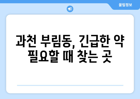 경기도 과천시 부림동 24시간 토요일 일요일 휴일 공휴일 야간 약국