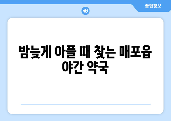 충청북도 단양군 매포읍 24시간 토요일 일요일 휴일 공휴일 야간 약국